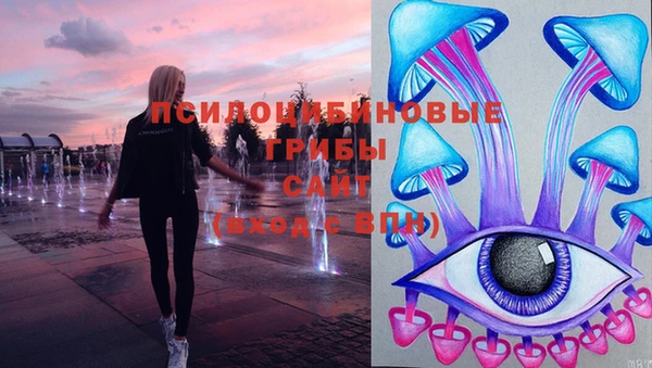 твердый Зеленокумск