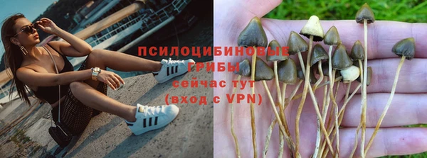 меф Инта